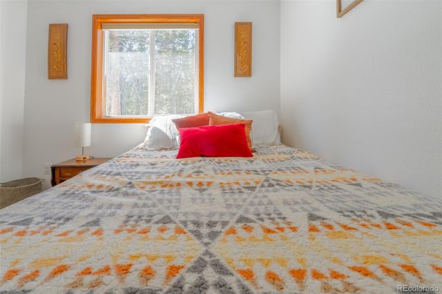 182 Rachaels Place, Alma, CO 80420