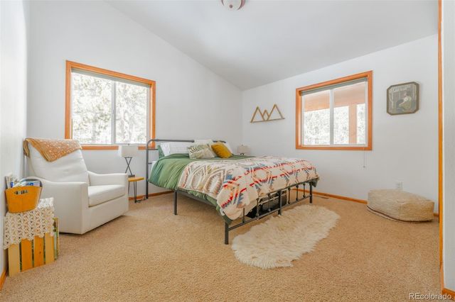 182 Rachaels Place, Alma, CO 80420