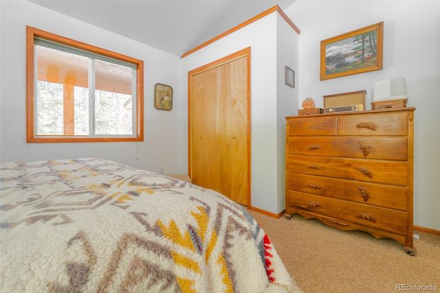 182 Rachaels Place, Alma, CO 80420