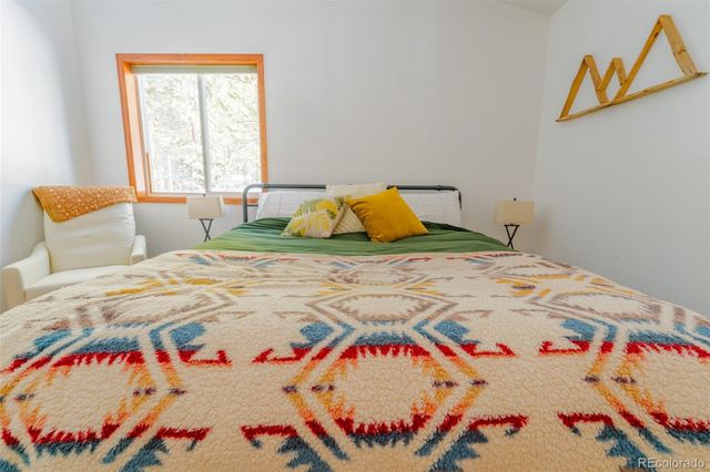 182 Rachaels Place, Alma, CO 80420