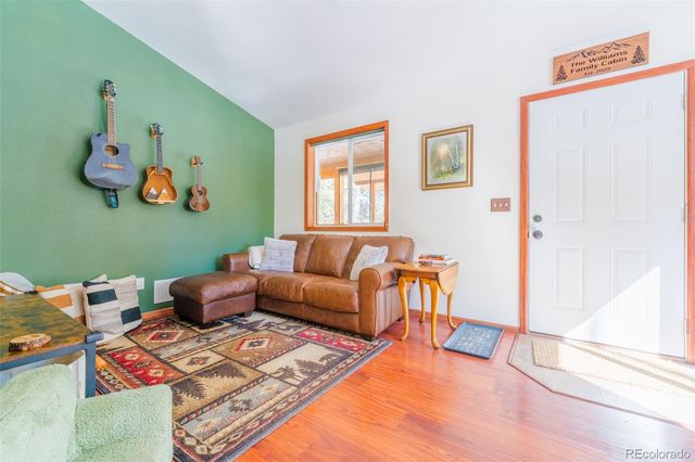 182 Rachaels Place, Alma, CO 80420