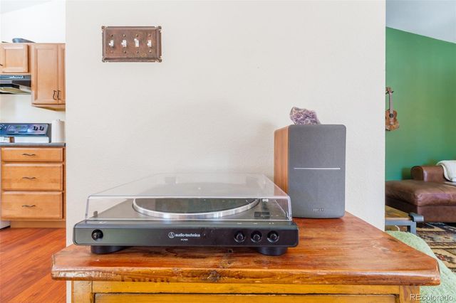 182 Rachaels Place, Alma, CO 80420