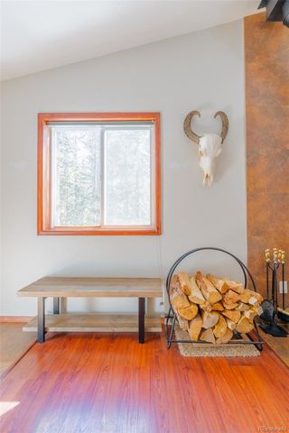 182 Rachaels Place, Alma, CO 80420