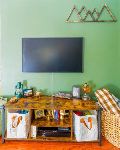 182 Rachaels Place, Alma, CO 80420