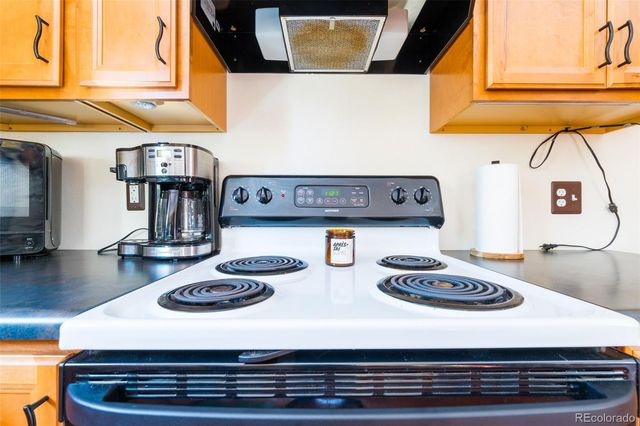 182 Rachaels Place, Alma, CO 80420