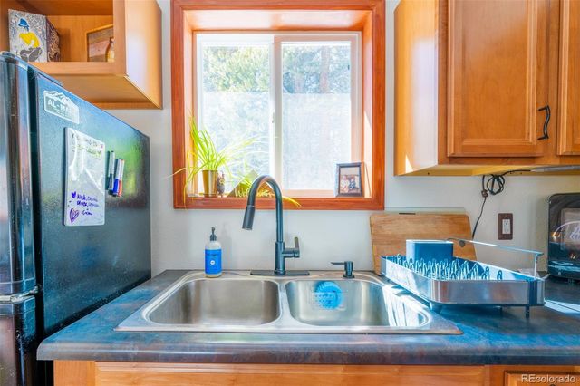 182 Rachaels Place, Alma, CO 80420