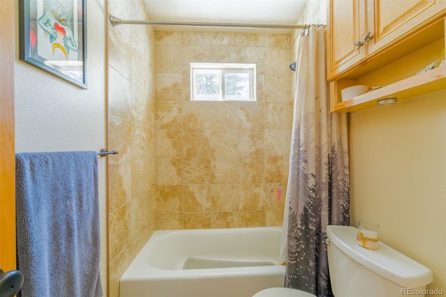 182 Rachaels Place, Alma, CO 80420