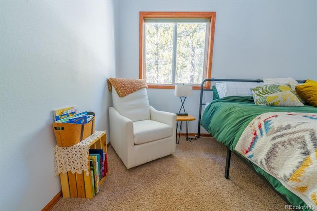 182 Rachaels Place, Alma, CO 80420