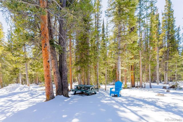 182 Rachaels Place, Alma, CO 80420