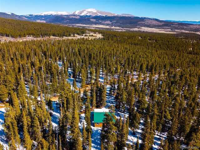 182 Rachaels Place, Alma, CO 80420