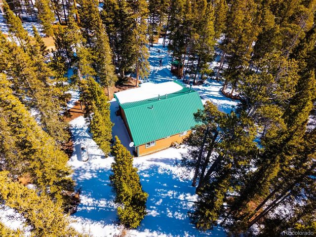 182 Rachaels Place, Alma, CO 80420