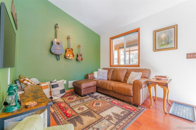 182 Rachaels Place, Alma, CO 80420