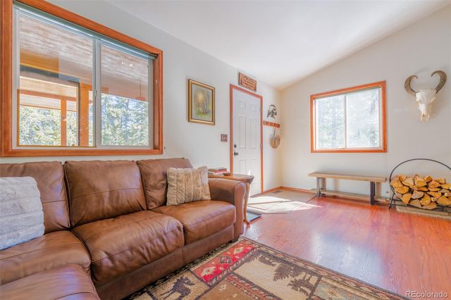 182 Rachaels Place, Alma, CO 80420