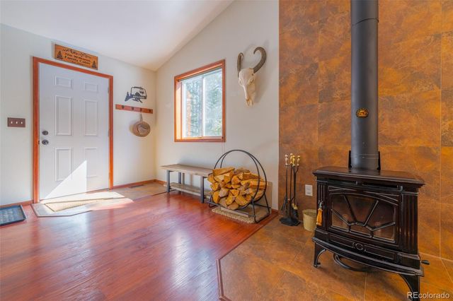 182 Rachaels Place, Alma, CO 80420