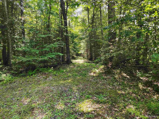 TBD Winters Road, Trenary, MI 49891