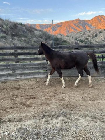 11461 Riverwood Drive, Sunland, CA 91040