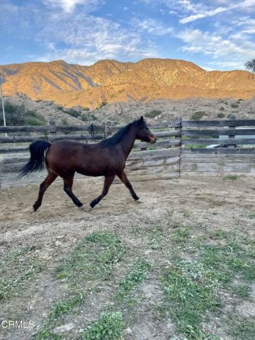 11461 Riverwood Drive, Sunland, CA 91040