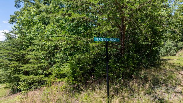 108 Mountain Brook Trail, Nebo, NC 28761