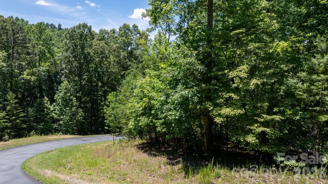 108 Mountain Brook Trail, Nebo, NC 28761