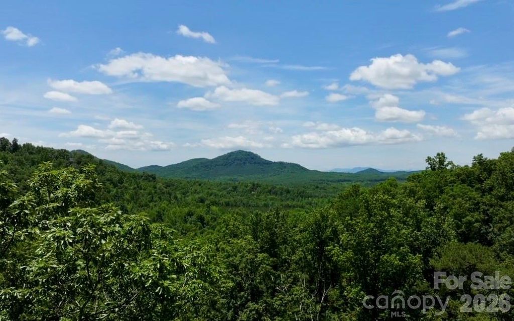 108 Mountain Brook Trail, Nebo, NC 28761