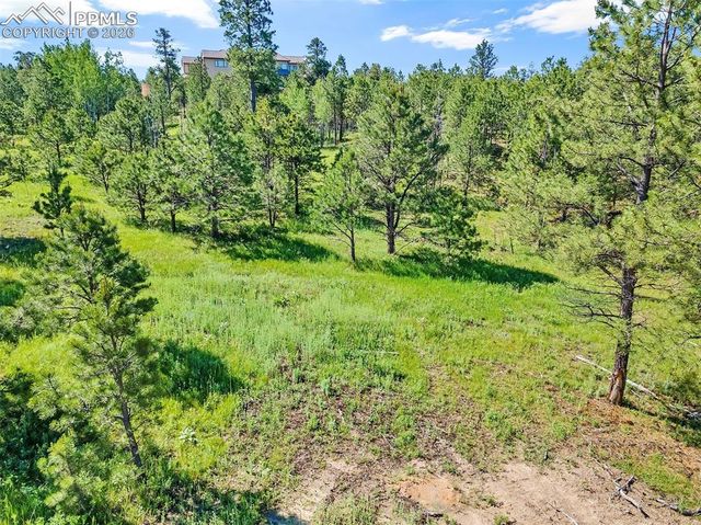14431 Allen Ranch Road, Colorado Springs, CO 80908
