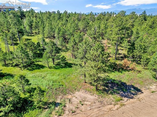 14431 Allen Ranch Road, Colorado Springs, CO 80908
