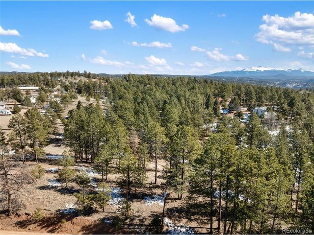 530 Columbine Rd, Florissant, CO 80816