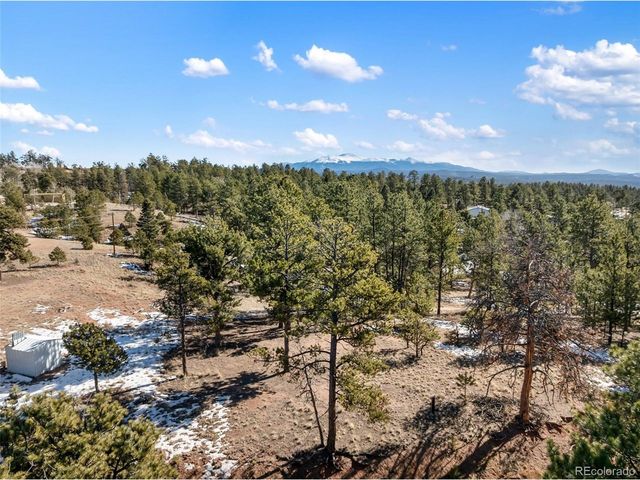 530 Columbine Rd, Florissant, CO 80816