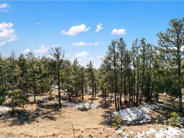 530 Columbine Rd, Florissant, CO 80816