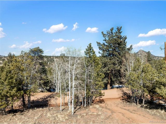 530 Columbine Rd, Florissant, CO 80816