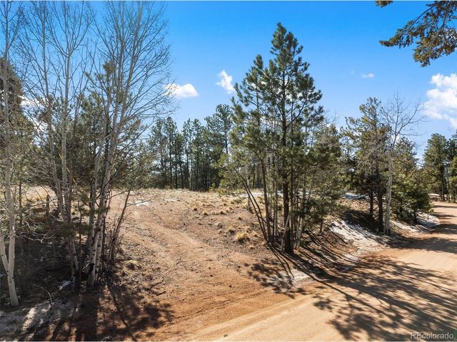 530 Columbine Rd, Florissant, CO 80816
