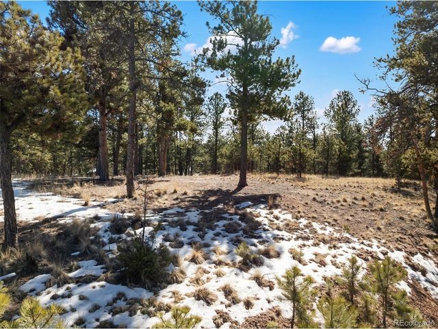 530 Columbine Rd, Florissant, CO 80816