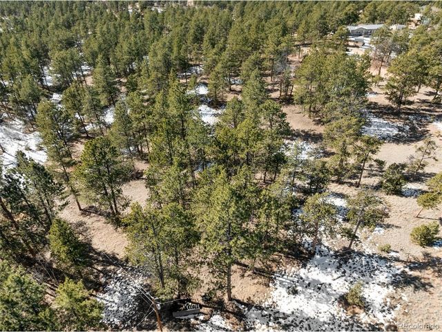530 Columbine Rd, Florissant, CO 80816