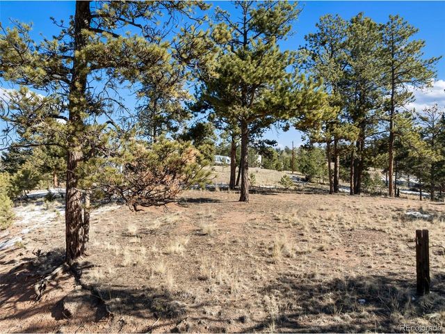 530 Columbine Rd, Florissant, CO 80816
