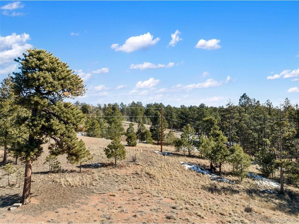 530 Columbine Rd, Florissant, CO 80816