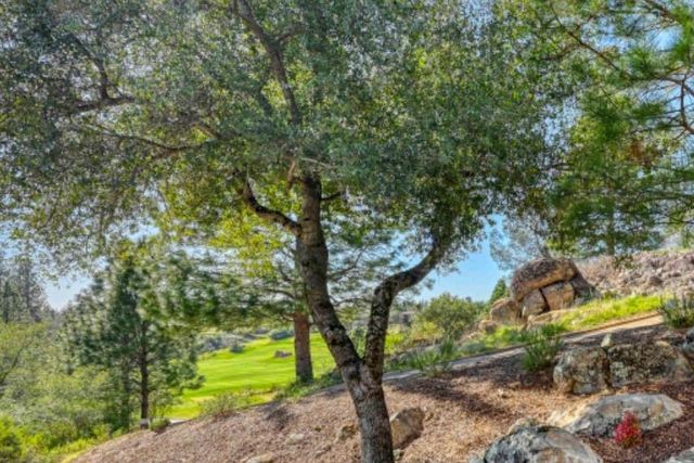 1412 Lodge View Dr, Meadow Vista, CA 95722