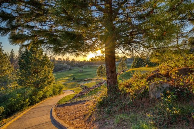 1412 Lodge View Dr, Meadow Vista, CA 95722