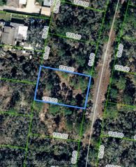320 Blue Heaven Drive, Lake Placid, FL 33852