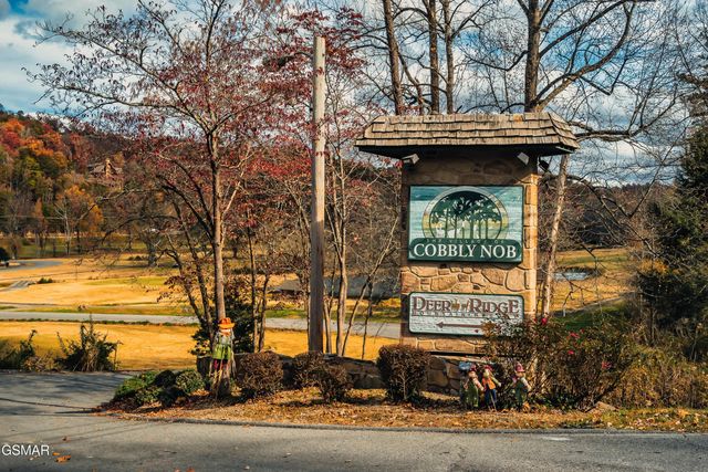 415 Matterhorn Drive, Gatlinburg, TN 37738