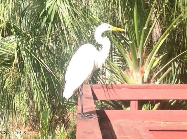 50 Callawassie Club Drive, Okatie, SC 29909