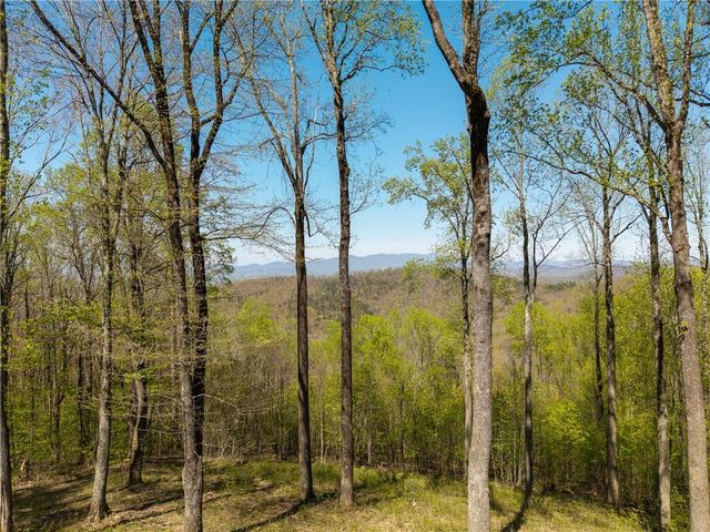 245 Smokerise Court, Ellijay, GA 30536