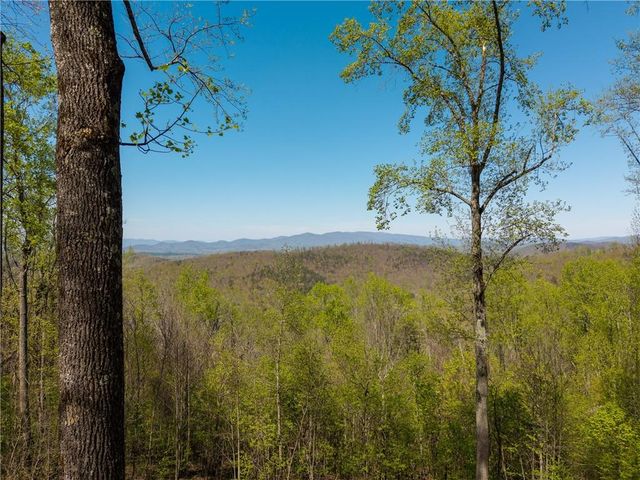 245 Smokerise Court, Ellijay, GA 30536