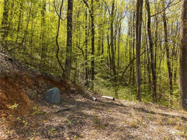 245 Smokerise Court, Ellijay, GA 30536