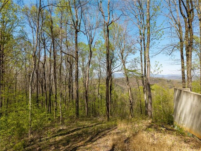 245 Smokerise Court, Ellijay, GA 30536