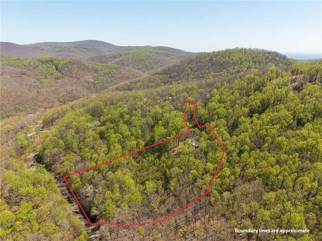 245 Smokerise Court, Ellijay, GA 30536