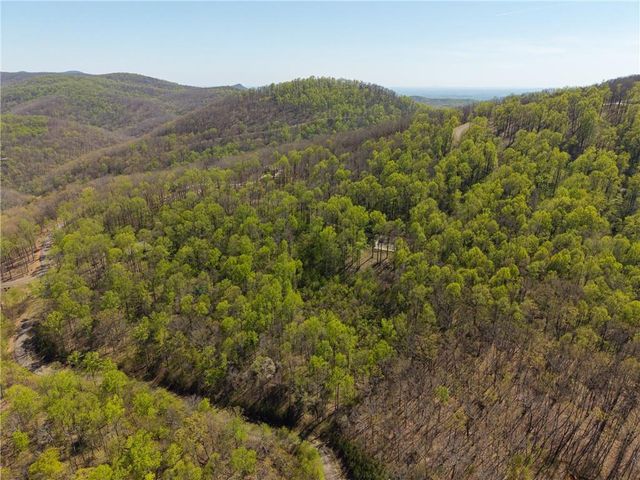 245 Smokerise Court, Ellijay, GA 30536