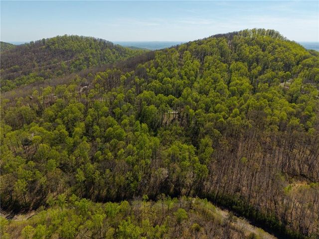 245 Smokerise Court, Ellijay, GA 30536