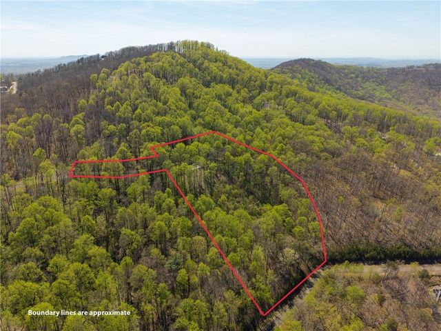 245 Smokerise Court, Ellijay, GA 30536