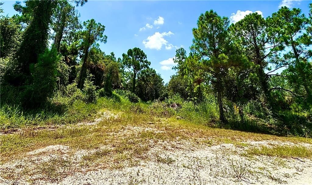2600 Fitch AVE, ALVA, FL 33920 — exterior