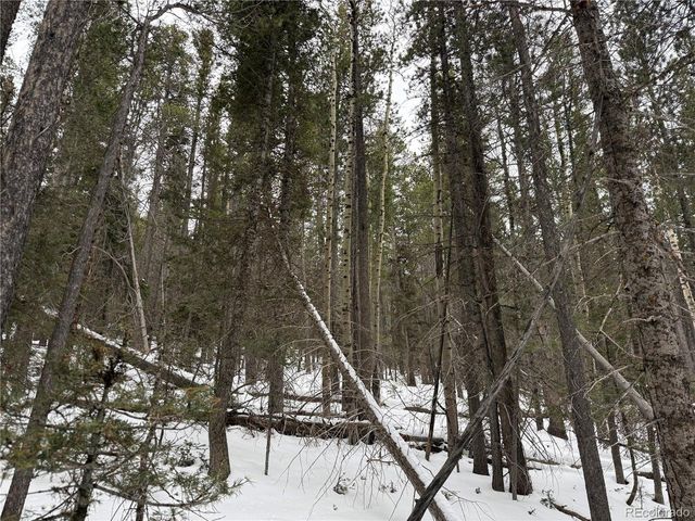 2806 Moir Dr, Fort Garland, CO 81133